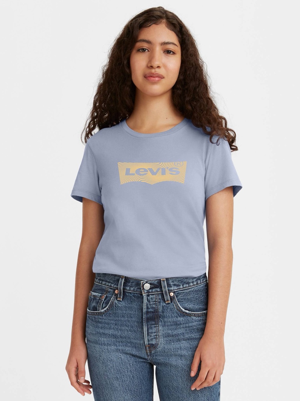 Levi's Logo Perfect T-shirt Diagonal Waves Fill Cool Dusk Size Small